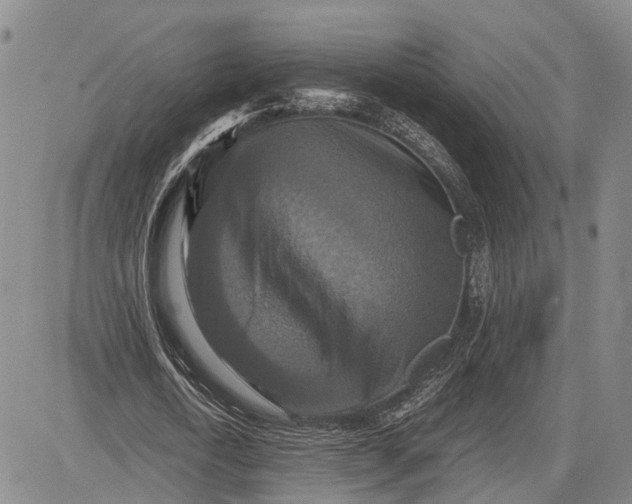 X0000081590722200702051303