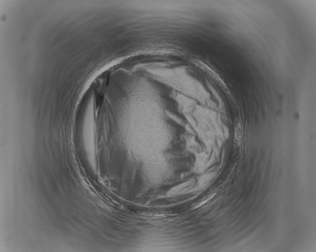 X0000081590724200702051303