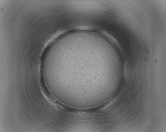 X0000081590730200702051303