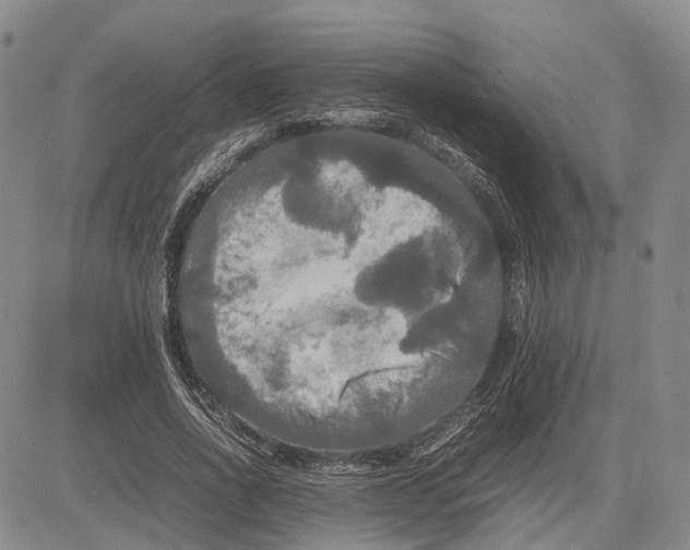 X0000081590734200702051303