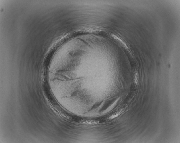 X0000081590736200702051303