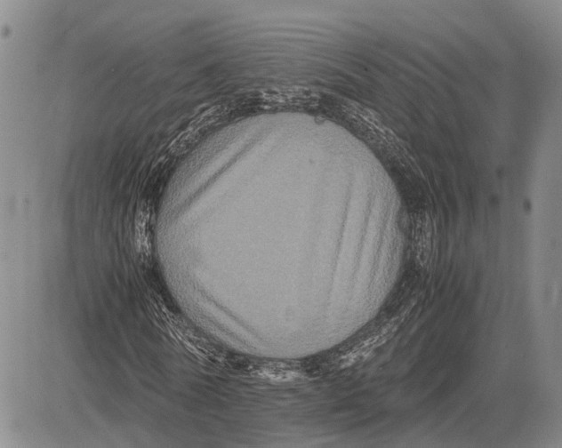 X0000081590770200702051303