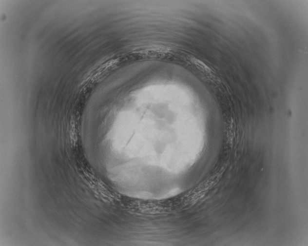 X0000081590774200702051303