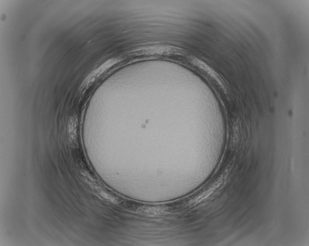 X0000081590778200702051303