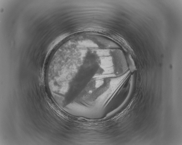X0000081590780200702051303