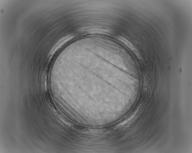 X0000081590782200702051303