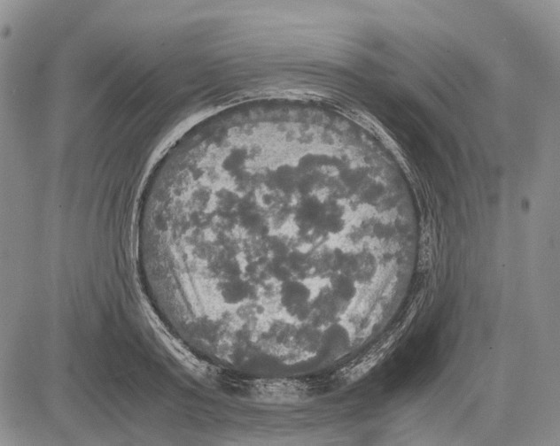 X0000081590795200702051303