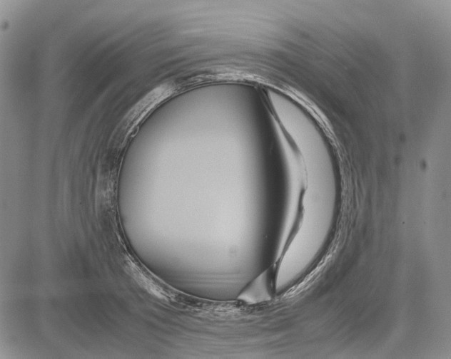 X0000081590801200702051303