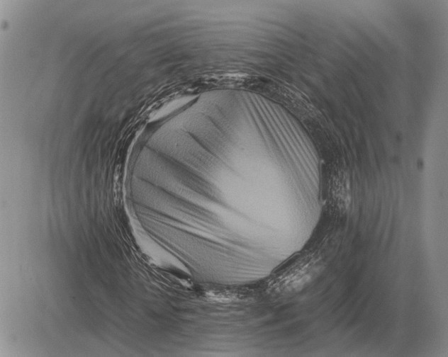 X0000081590818200702051302