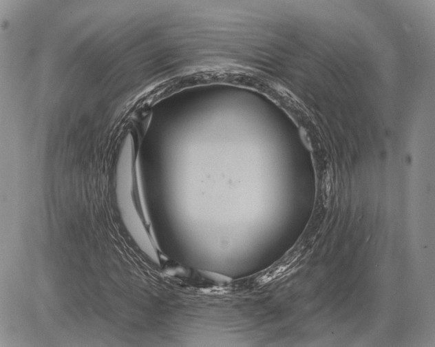 X0000081590822200702051302
