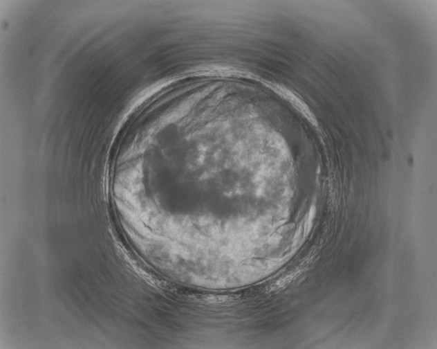 X0000081590839200702051302