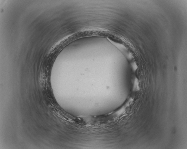 X0000081590872200702051301