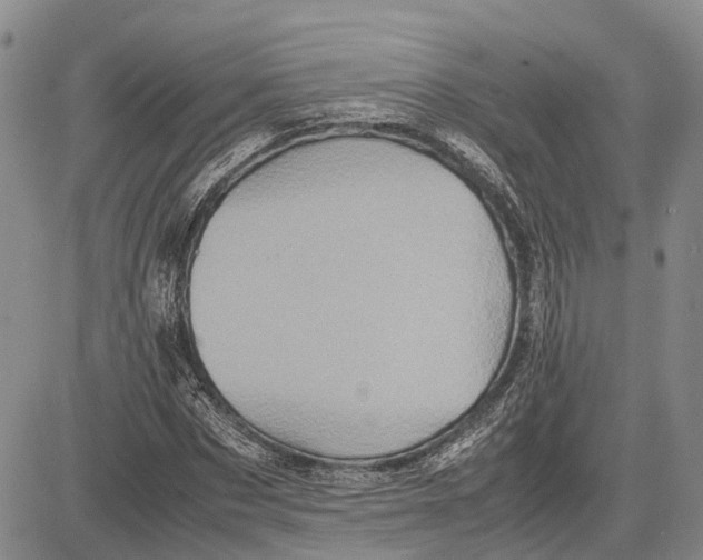 X0000081590873200702051301