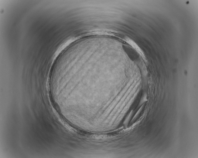 X0000081590893200702051301