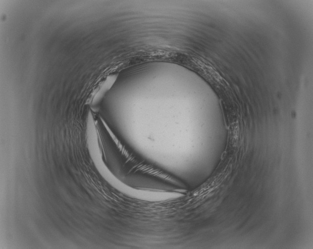 X0000081590916200702051300