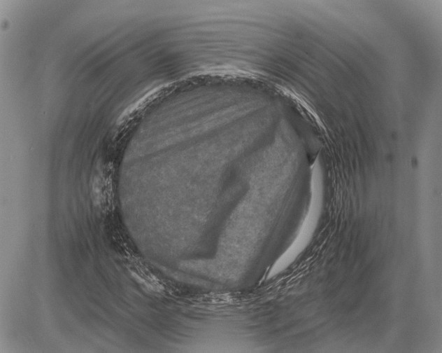 X0000081590968200702051300