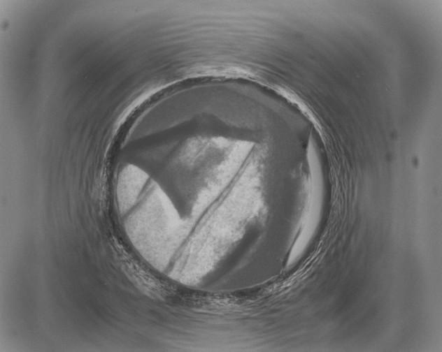 X0000081590975200702051300