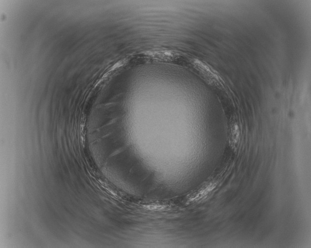 X0000081591010200702051258