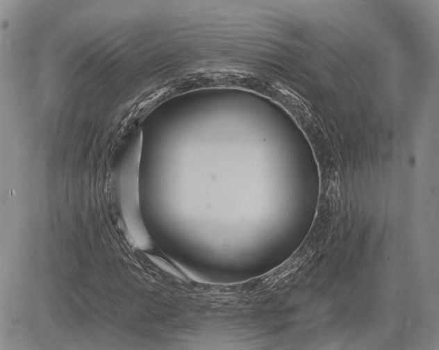 X0000081591014200702051259
