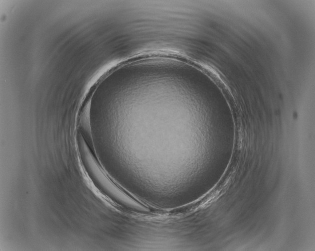 X0000081591038200702051259
