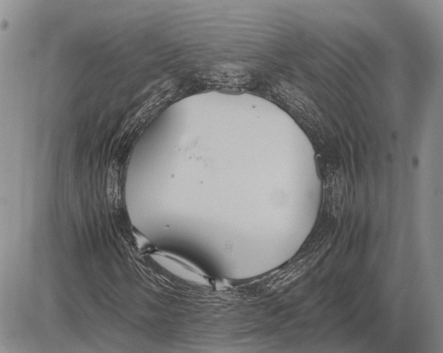 X0000081591058200702051258
