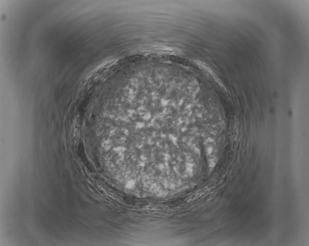 X0000081591063200702051258
