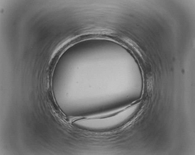 X0000081591069200702051258