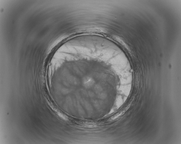 X0000081591071200702051258
