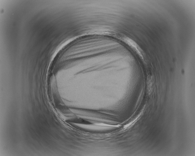 X0000081591077200702051258
