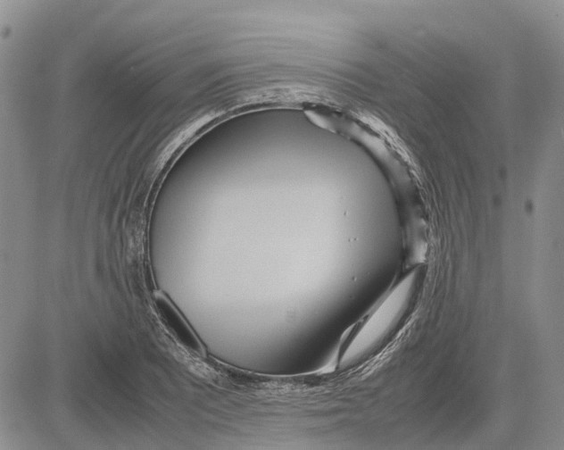 X0000081591081200702051258