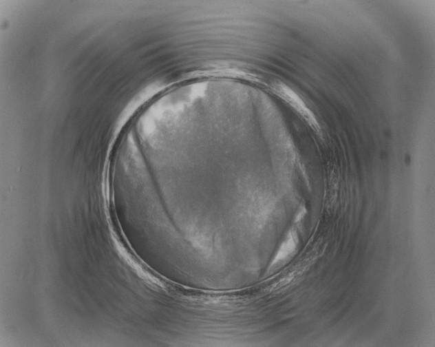 X0000081591084200702051258