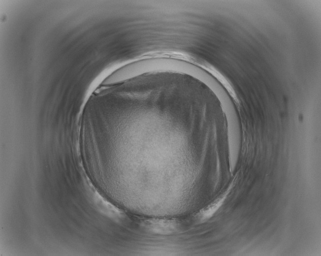 X0000081591102200702051258