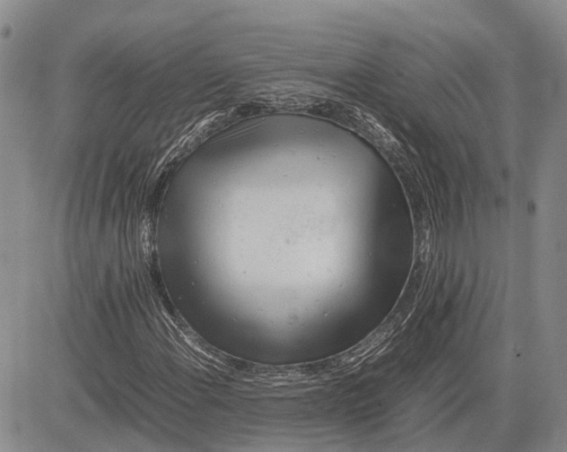 X0000081591108200702051257