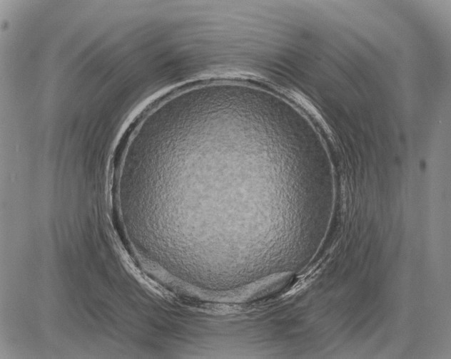 X0000081591124200702051257