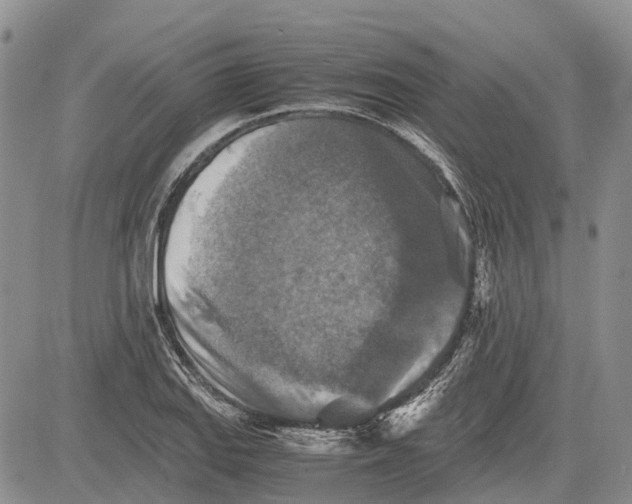 X0000081591127200702051257