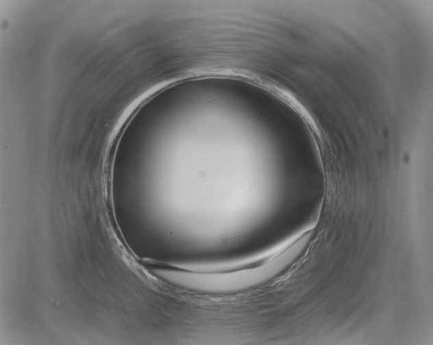 X0000081591148200702051258