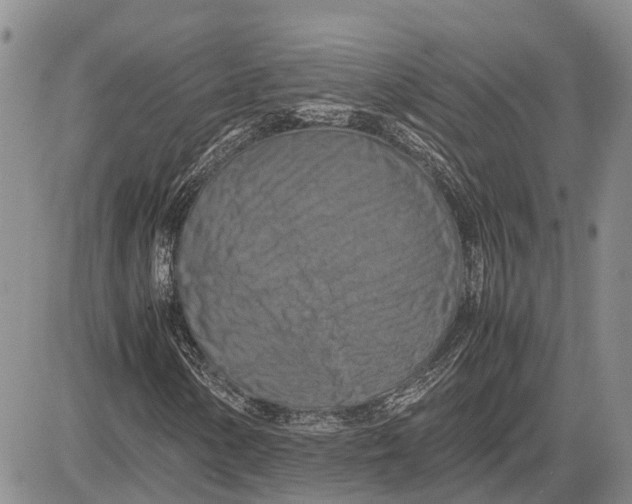 X0000081591154200702051257
