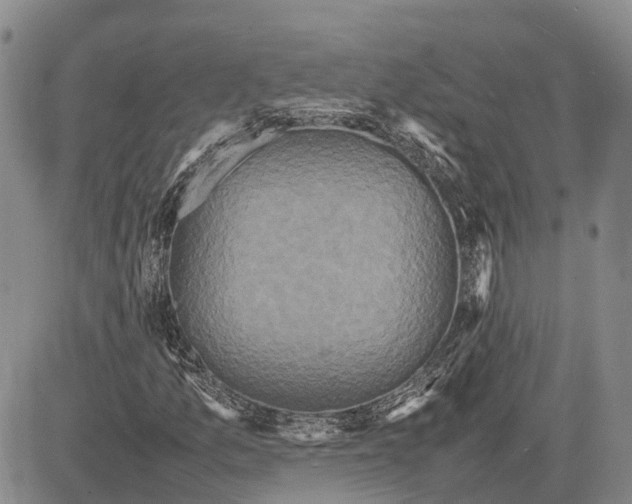 X0000081591157200702051257