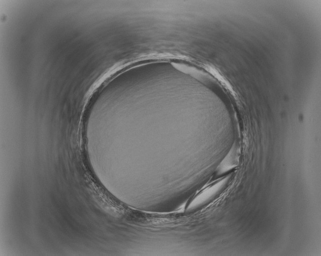 X0000081591173200702051257