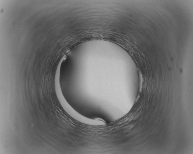 X0000081591202200702051255