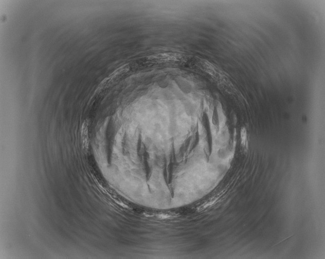 X0000081591203200702051255