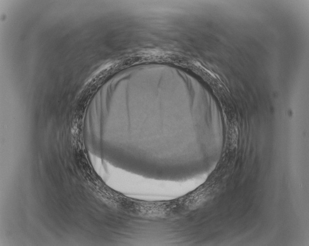 X0000081591254200702051255