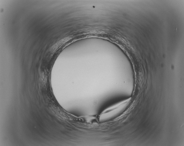 X0000081591257200702051255