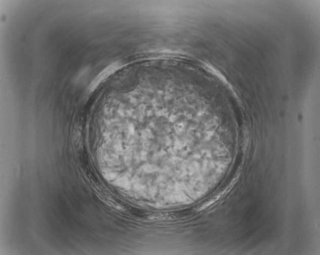 X0000081591259200702051255