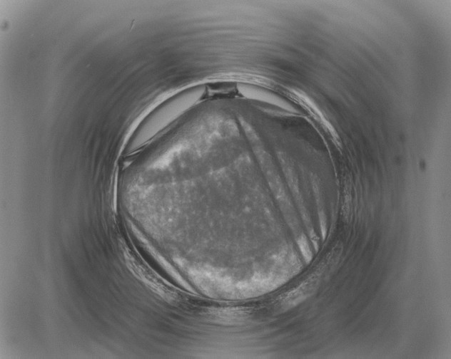 X0000081591276200702051255