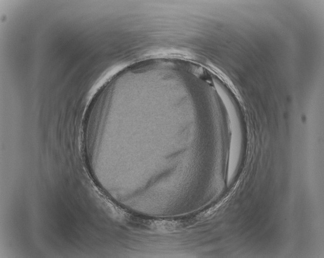 X0000081591277200702051255