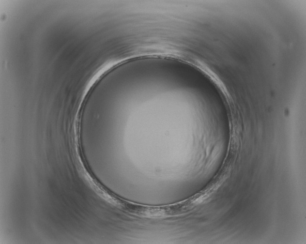 X0000081591291200702051255