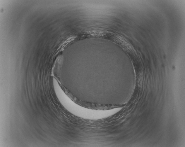 X0000081591298200702051254