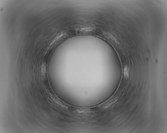 X0000081591299200702051254