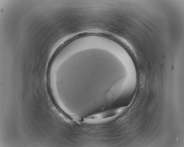 X0000081591327200702051254